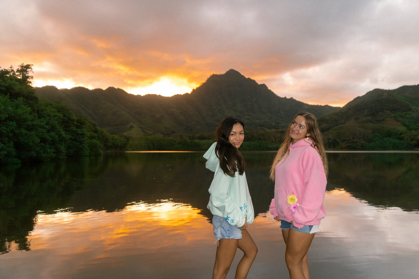 Shell Yeah! hoodie in Chalky Pink