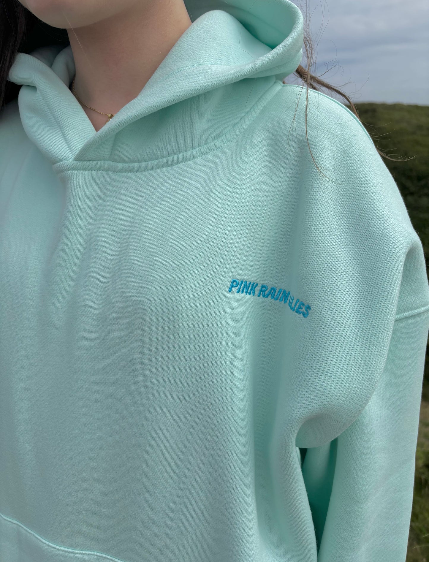Shell Yeah! hoodie in Sea Glass