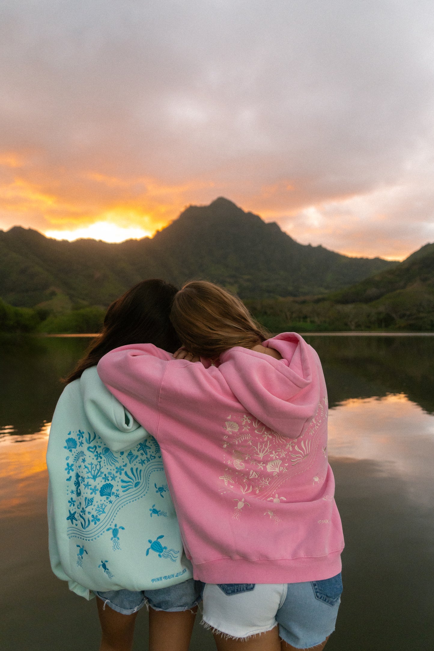 Shell Yeah! hoodie in Chalky Pink